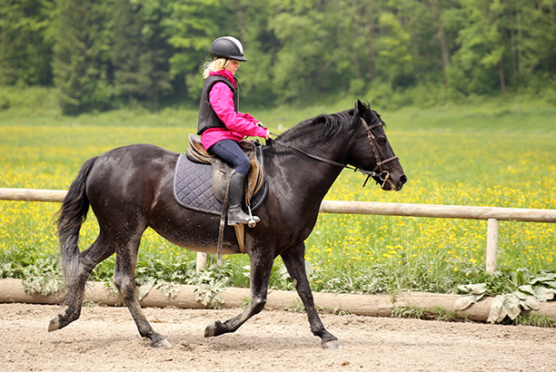 Vacances pour tous - colonies de vacances  - Feurs - Équitation loisir