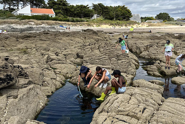 Vacances-passion - Le Razay - Piriac sur Mer - Loire-Atlantique
