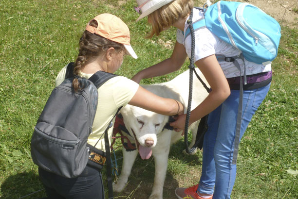 Vacances-passion - Centre Burdignes - Burdignes - Loire