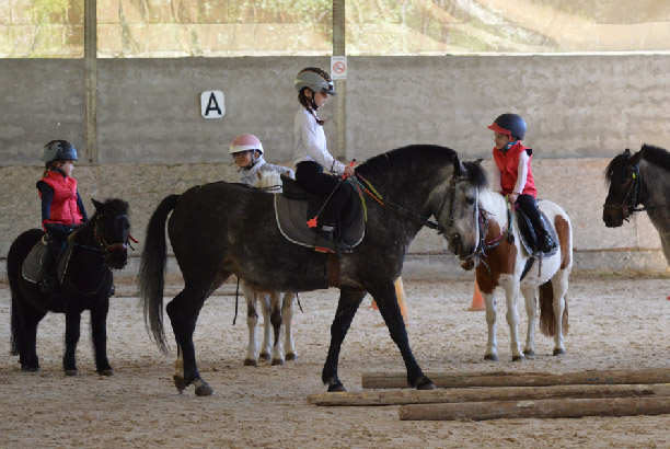 Vacances pour tous - colonies de vacances  - Ceyzériat - Équitation, loisirs et nature