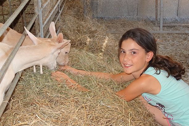 Vacances pour tous - colonies de vacances  - Ceyzériat - Les copains de la ferme
