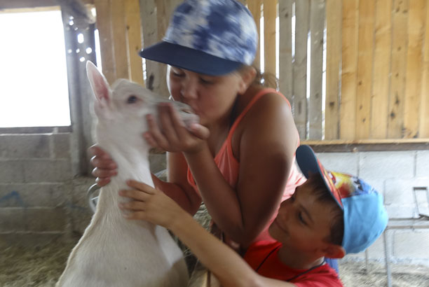 Vacances-passion - Centre équestre Cheval Bugey - Ceyzériat - Ain
