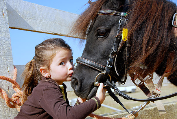 Vacances-passion - Village vacances Les Sables d'Or - Gouville-sur-Mer - Manche