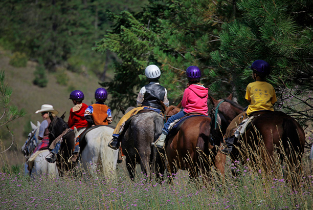 Vacances-passion - Le Mas de l'Artaude - Le Pradet - Var