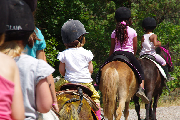 Vacances-passion - Le Mas de l'Artaude - Le Pradet - Var