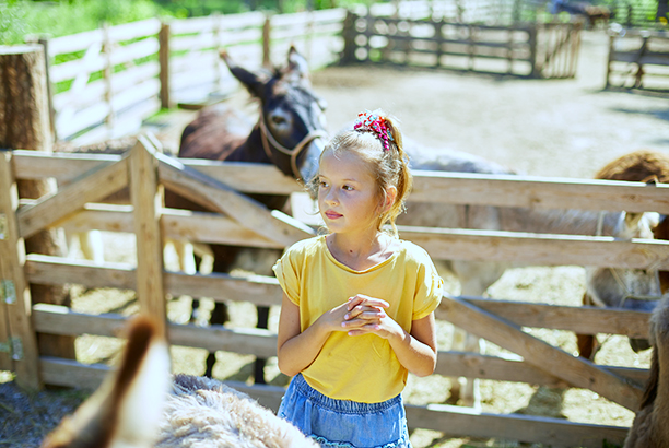 Vacances pour tous - colonies de vacances  - Chevillon - À poney et à la ferme