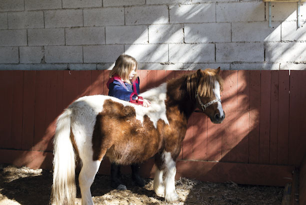 Vacances-passion - Domaine équestre de Chevillon - Charny-Orée-de-Puisaye - Yonne