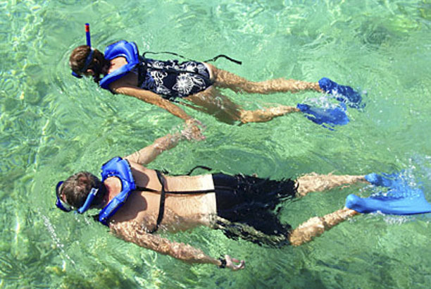 Vacances-passion - Le Mas de l'Artaude - Le Pradet - Var