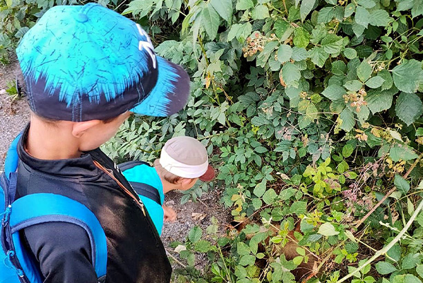 Vacances-passion - Le Rajal - Salles-Curan - Aveyron