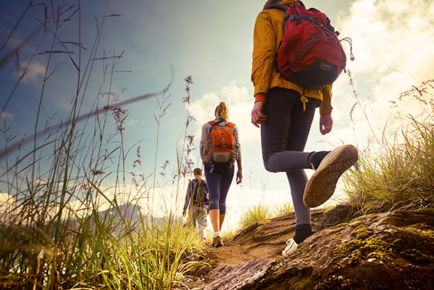 Vacances-passion - Centre La Colline - Fresse-sur-Moselle - Vosges