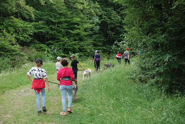 Vacances-passion - Le Chalet du Rouergue - Laguiole - Aveyron