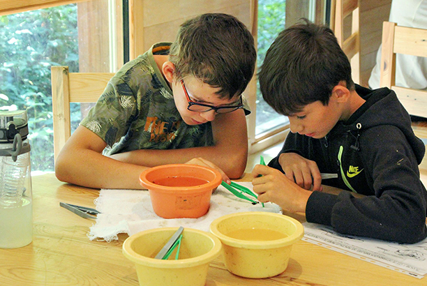 Vacances pour tous - colonies de vacances  - La Rouquette - Les curieuses vacances d'Archimède