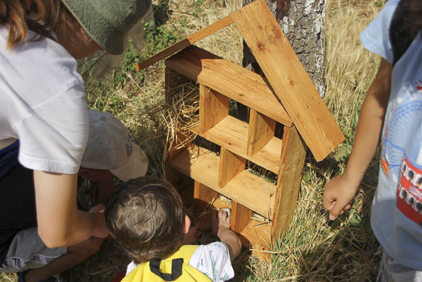 Vacances-passion - Domaine de la Maze - La Rouquette - Aveyron