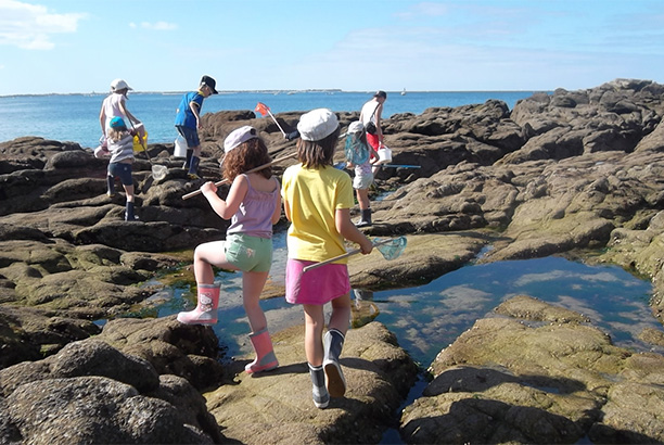 Vacances-passion - Le Razay - Piriac sur Mer - Loire-Atlantique