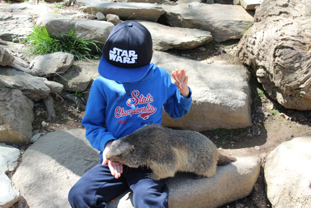 Vacances-passion - Centre d’Artigues - Artigues - Hautes-Pyrénées