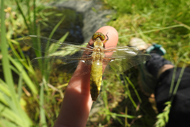 Vacances-passion - Centre La Traverse - Le Bessat - Loire