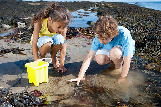 Vacances pour tous - colonies de vacances  - Batz-sur-Mer - Sel et Vacances