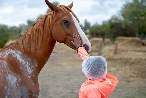 Vacances pour tous - colonies de vacances  - Batz-sur-Mer - Stage équitation et voile