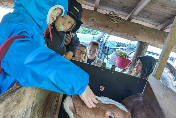 Vacances-passion - Thorens-Glières - Thorens Glières - Haute-Savoie