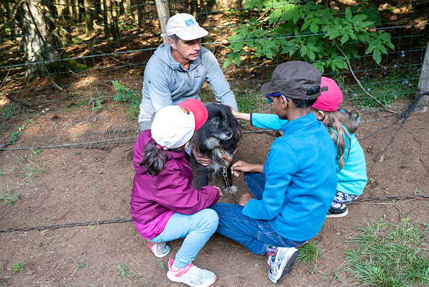 Vacances-passion - Volca-Sancy - Murat-le-Quaire - Puy-de-Dôme